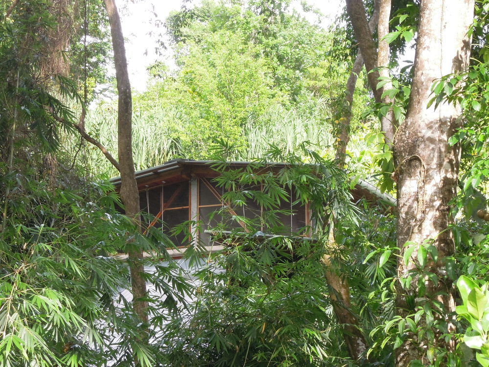 Omega Tours Adventure Company And Eco Jungle Lodge Эль-Перу Экстерьер фото